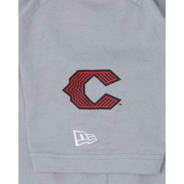 Cincinnati Reds City Connect Gray T-Shirt