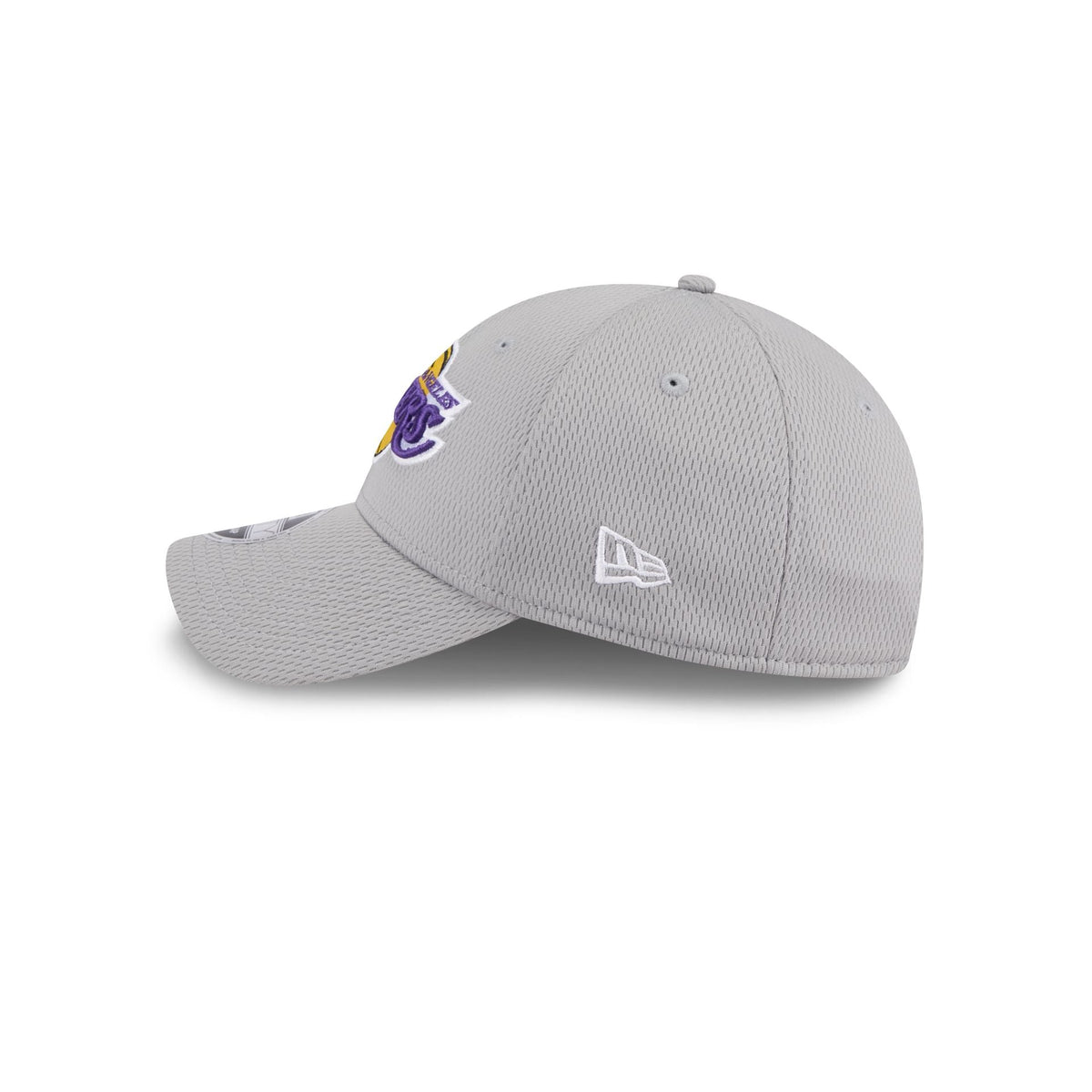 Los Angeles Lakers Gray 9FORTY Stretch-Snap Hat
