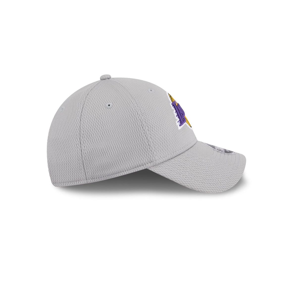 Los Angeles Lakers Gray 9FORTY Stretch-Snap Hat