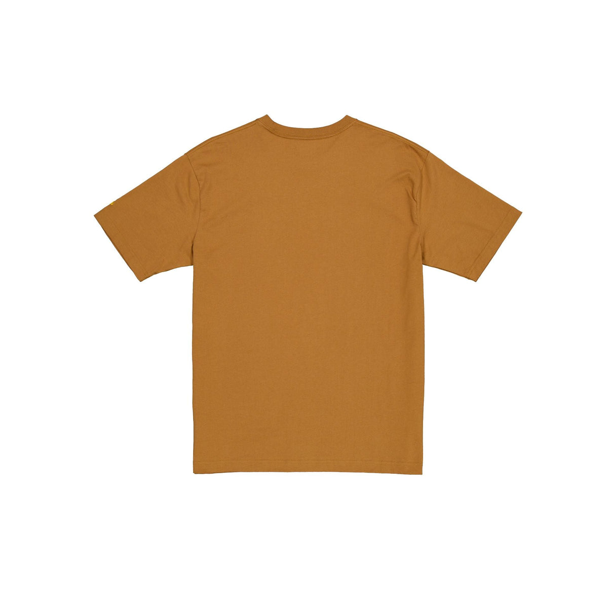 Chicago Bulls 2025 All-Star Game Victory Grove Light Bronze T-Shirt