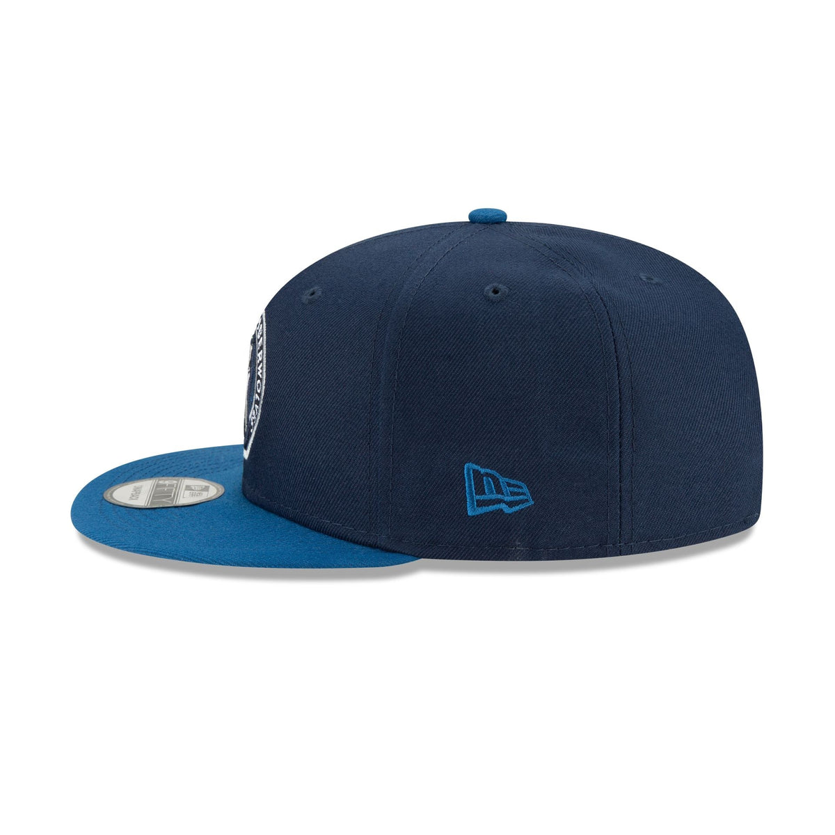 Minnesota Timberwolves Basic Two Tone 9FIFTY Snapback Hat